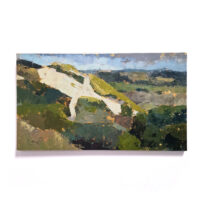 Landschapskunst | olieverfschilderij