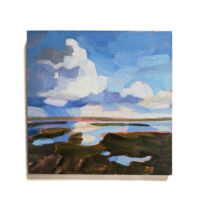De wolk