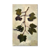 stilleven olieverf schilderij druif – kunstwerk van rixt art | creatieve kunst soest (regio Utrecht, workshops bilthoven)