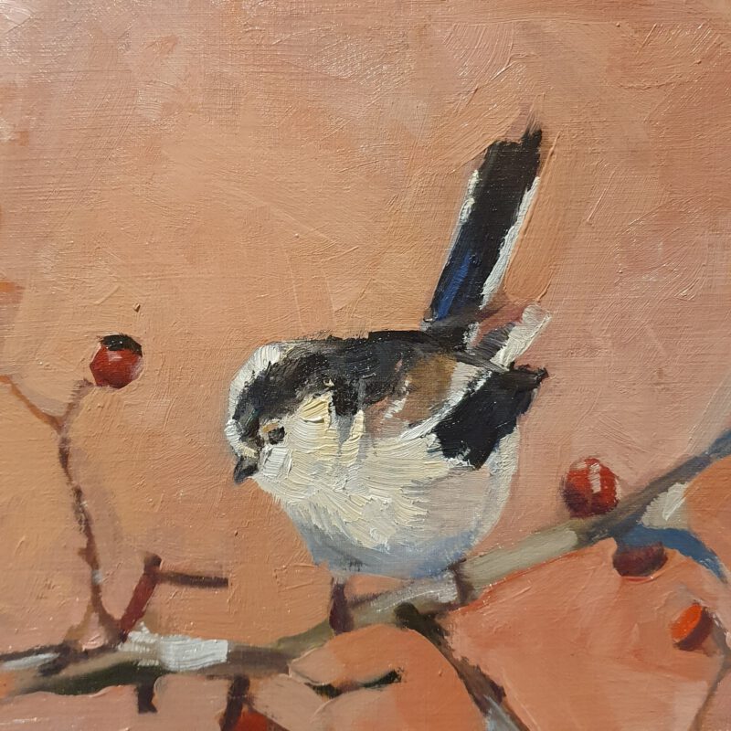 Vogel kunstwerk cadeau | olieverfschilderij